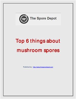 Top 6 things about mushroom spores.pdf